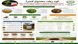 مصرف ناهنجار کودهای شیمیایی به‌ویژه نیتروژن، باعث آسیب به خاک و کاهش کیفیت محصول 