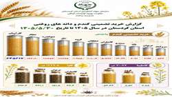 گزارش خرید تضمینی گندم و دانه های روغنی کردستان تا پایان ۳۰ مرداد ماه ۱۴۰۵