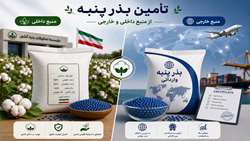 برنامه‌ریزی برای تأمین بذر گواهی‌شده پنبه/ بهره‌وری تولید پنبه ارتقا می‌یابد