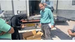  صادرات نهال کشت‌بافتی خرما از مرز مهران به عراق