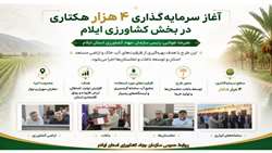 آغاز سرمایه گذاری ۴ هزار هکتاری در بخش کشاورزی ایلام