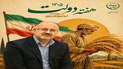  ثبت رشد سه‌برابری صادرات کیوی و ۹ دستاورد مهم کشاورزی مازندران در یک سال