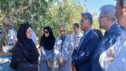 سازمان حفظ نباتات کشور 