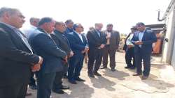 افتتاح واحد پرواربندی ۳۰۰ رأسی بره در آبدانان