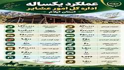  به مناسبت هفته دولت عملکرد بکساله امور عشایری استان ایلام 