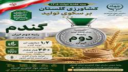  گلستان دارای  رتبه دوم تولید گندم