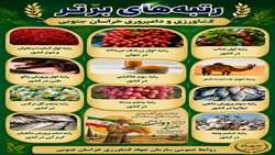 عناوین برتر تولیدات کشاورزی و دامپروری خراسان جنوبی