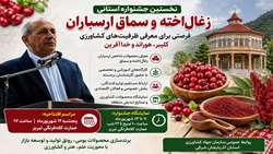  تبریز میزبان طعم و عطر ارسباران؛ نخستین جشنواره استانی زغال‌اخته و سماق 