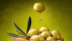 افزایش 30 درصدی تولید ارقام روغنی زیتون در استان فارس