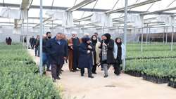 سازمان حفظ نباتات