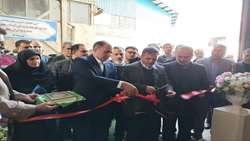 افتتاح کارخانه تولید خوراک دام، طیور و آبزیان استان زنجان با حضور وزیر جهاد کشاورزی