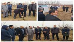 کلنگ زنی اجرای طرح هوشمند سازی سامانه های نوین آبیاری شهرستان تهران؛ به مناسبت دهه مبارک فجر