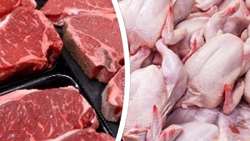 تولید گوشت مرغ و تخم مرغ در خراسان رضوی در مسیر پایداری