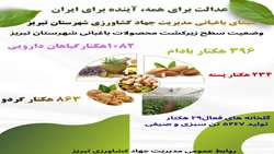 اینفوگرافی| سیمای باغبانی مدیریت جهادکشاورزی شهرستان تبریز (وضعیت سطح زیر کشت محصولات باغبانی شهرستان تبریز)