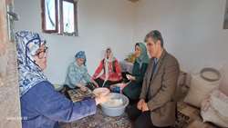 گردشگری کشاورزی