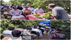 برگزاری روز مزرعه میوه‌های گرمسیری با هدف ارتقای بهره‌وری کشاورزی 