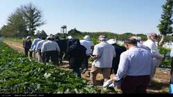 ‏۱۱۰۰‏‎ ‎مددکار ترویجی در خدمت توسعه و بهره‌وری کشاورزی خراسان شمالی