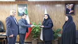 مشاور مدیرعامل صندوق حمایت از توسعه سرمایه‌گذاری در امور زنان منصوب شد