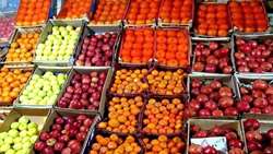 میوه شب عید در همدان تأمین شد/ توزیع 25 تن خرما 