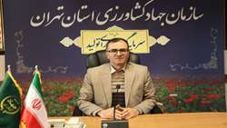 بسته حمایتی جهاد کشاورزی برای عبور دامداران و مرغداران از چالش نقدینگی/اجرای همزمان سه طرح حمایتی برای پایداری تولید در استان تهران 