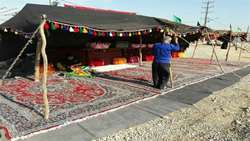 عشایر همدان برای خرید نهاده‌‌ چالش نقدینگی دارند 