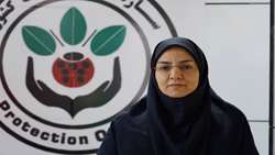 سازمان حفظ نباتات