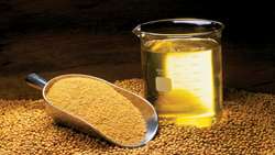 عرضه 1100 تُن روغن خوراکی به بازار