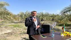 برگزاری روز مزرعه استانی سرخرطومی حنایی خرما در شهرستان منوجان