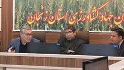 تأکید رئیس سازمان جهاد کشاورزی زنجان بر تداوم حمایت از تولید و استمرار تأمین امنیت غذایی