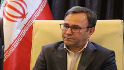آغاز خرید حمایتی مرغ در لرستان با بالاترین میزان تعهد کشوری