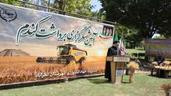 افزایش ۲۵ درصدی عملکرد گندم در شهرستان نظرآباد