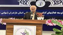 تحول بنیادین در حکمرانی اقتصادی روستایی با محوریت زنان/صندوق حمایت از توسعه فعالیت‌های زنان روستایی استان مازندران افتتاح شد