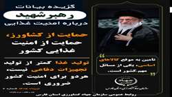 حمایت از کشاورز، حمایت از امنیت غذایی کشور  