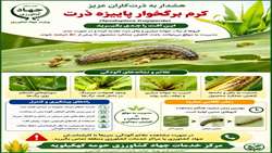 مدیریت هوشمندانه مزارع ذرت شهرستان کهگیلویه در برابر پروانه برگخوار پاییزه