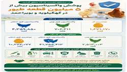 پوشش واکسیناسیون بیش از ۵ میلیون قطعه طیور بومی و صنعتی در سه ماهه اول ۱۴۰۵ کهگیلویه وبویراحمد