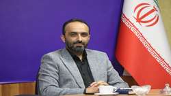 بلاست و مگس میوه در کمین مزارع و باغ‌های مازندران / تأخیر در مبارزه با ساقه‌خوار خطرناک است