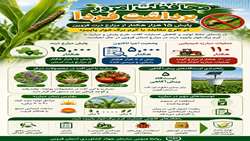پایش ۱۵ هزار هکتار از مزارع ذرت  در استان قزوین