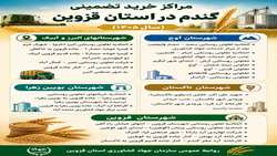 مراکز خرید تضمینی گندم  در استان قزوین