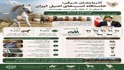 هویت‌گذاری اسب‌ها؛ گامی بلند برای توسعه صنعت پرورش اسب در آذربایجان شرقی