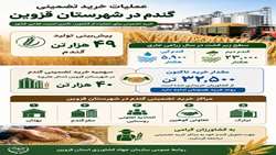  عملیات خرید تضمینی گندم در شهرستان قزوین