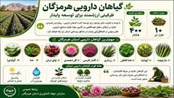 اجرای برنامه راهبردی برای توسعه کشت گیاهان دارویی در استان هرمزگان
