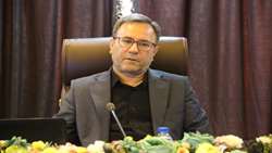 امنیت غذایی در گروِ توزیع اصولی نهاده‌های دامی/ عزم جهاد کشاورزی لرستان برای ثبات در تأمین نهاده‌های دامی