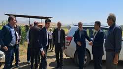 توسعه صنایع تبدیلی؛ اولویت راهبردی جهاد کشاورزی کردستان در تحقق زنجیره ارزش 