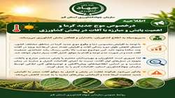  موج جدید گرما و اهمیت پایش و مبارزه با آفات در بخش کشاورزی