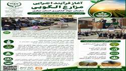  آغاز فرآیند اجرایی مزارع الگویی استان مرکزی