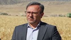 کشاورزی مدرن، کلید اصلی پویایی اقتصاد کشاورزی لرستان