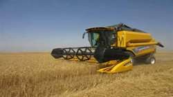 آغاز عملیات خرید بذر گندم و جو در استان زنجان با هدف تامین نهاده باکیفیت و ارتقای امنیت غذایی