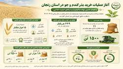 آغاز عملیات خرید بذر گندم و جو در استان زنجان/ با هدف تامین نهاده با کیفیت و ارتقای امنیت غذایی