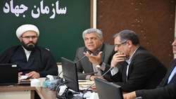 اشتغال روستایی باید از اقتصاد معیشتی به اقتصاد ارزش‌آفرین حرکت کند