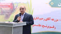 کاهش تغییر کاربری اراضی کشاورزی در گیلان با قیمت گذاری مناسب برن